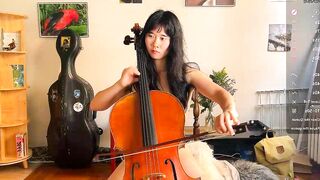 chiloschista - Chaturbate Stream beard mommy aussie babe