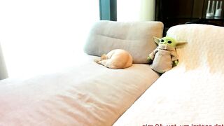 carolinaherera - Chaturbate Stream Streamed session sexy brunette clamps