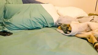 kristicutiez - Chaturbate Stream babe fetishes openprivate submissive