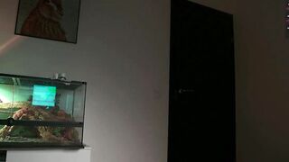 iara_mi - Chaturbate Stream smile interracial Live capture bigpussylips