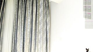 meow_mikasa - Chaturbate Stream Online footage gamer me sexyblonde