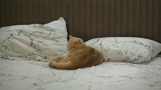 snow_is_falling - Chaturbate Live Web stream sph toes brownhair