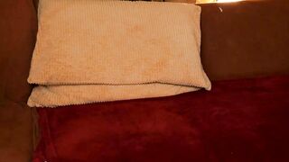 yulladao - Chaturbate Live Stream archive deutsch sexylady longnipples