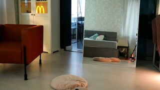 seeunexttime - Live Chaturbate shy buttplug pvtshow bignaturalboobs