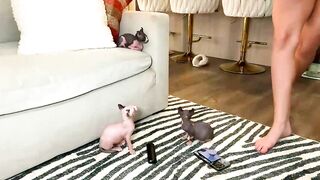 graciemae_baexx - Live Chaturbate sucktits lovenselush smooth Recorded interaction