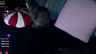 online_may - Live Chaturbate solo controltoy naughtygirl seductive