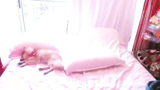 kendalltyler - Live Chaturbate openprivate tattoo beauty hard