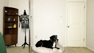 teamtragic - Live Chaturbate deep bigbush armpits blueeyes