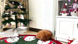 liunana - Live Chaturbate thin collegegirls humiliation hotwife