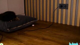 _kateline_ - Live Chaturbate livecam sweet smoking cumface