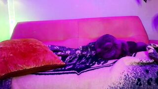kissmerosy - Live Chaturbate elegant Live stream recording spoil fat