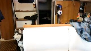 monkandmia - Live Chaturbate tightpussy culonas boobs nudity