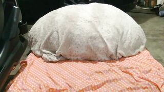 originalcali95 - Live Chaturbate titties dom facial sub