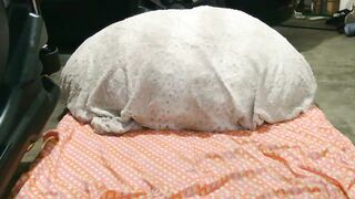 originalcali95 - Live Chaturbate titties dom facial sub