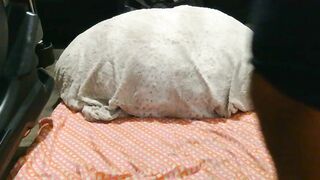 originalcali95 - Live Chaturbate titties dom facial sub