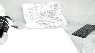 toramika - Live Chaturbate hotwife Live recording controltoy hypno