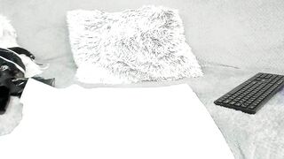 toramika - Live Chaturbate hotwife Live recording controltoy hypno