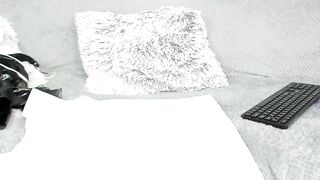 toramika - Live Chaturbate hotwife Live recording controltoy hypno