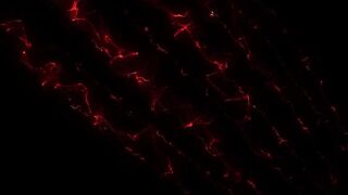 New Cherie DeVille Rachel Steele Two Sexy MILF Poolside Eating Pussy 2026 Hardcore Lesbian Milf Bigtits Onlyfans ILUVY