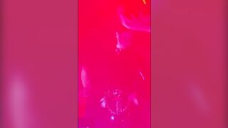 NEW Dolly Dyson Piss and foamy creampie for a good latex girl 2026 Piss POV Redhead Latex Creampie NaturalTits JORDAN8 Join my Telegram blog for ad free 1080p videos exclusive content