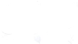 Pornbox Hardcore MEGA Group Fucking porn n LegalPorno Pornbox NRX LeoAhsoka DaenerysWorkholes EffyEnd LoliPop Russian Afghan anal