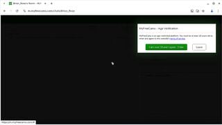 Brion_Rose - Porn Video [Myfreecams]: camwhores, captured show, lovely symmetry