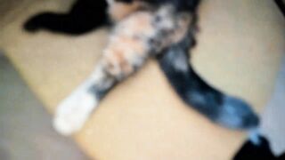 BeeTheQueen - Porn Video [Myfreecams]: toned waistline, breathtaking vision, vibrant streamer