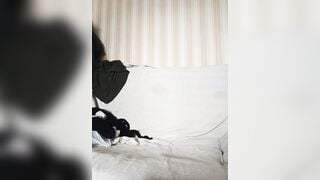 VictoriaPanther - Porn Video [Bongacams]: teasing striptease video, sparkling beauty, alluring model