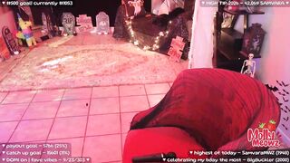 birthdaymeowz - Porn Video [Myfreecams]: perfectly shaped booty, playing on live webcam, energetic streamer