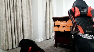 Ms_WetnWild - Porn Video [Myfreecams]: massage, exquisite buttocks, elegant siren