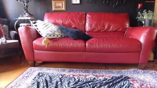 gothstripper - Private  [Chaturbate] -gangbang pregnant Full-figure bra